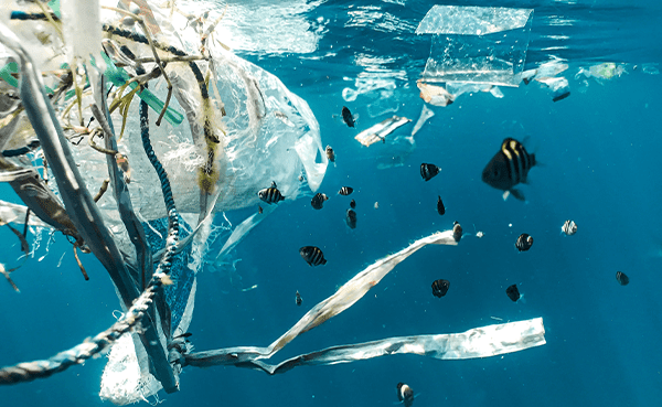 REDUCING OUR PLASTIC FOOTPRINT - Mixx Audio
